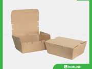 Hộp Giấy Kraft Năp Gài