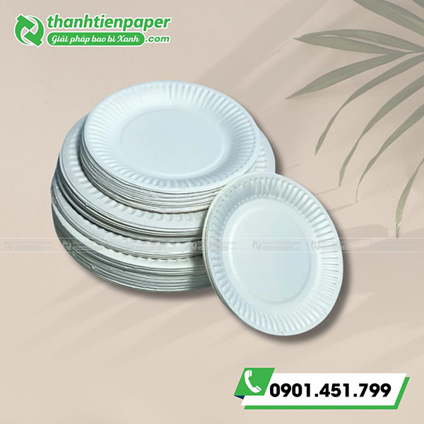 dia-giay-dung-1-lan-13