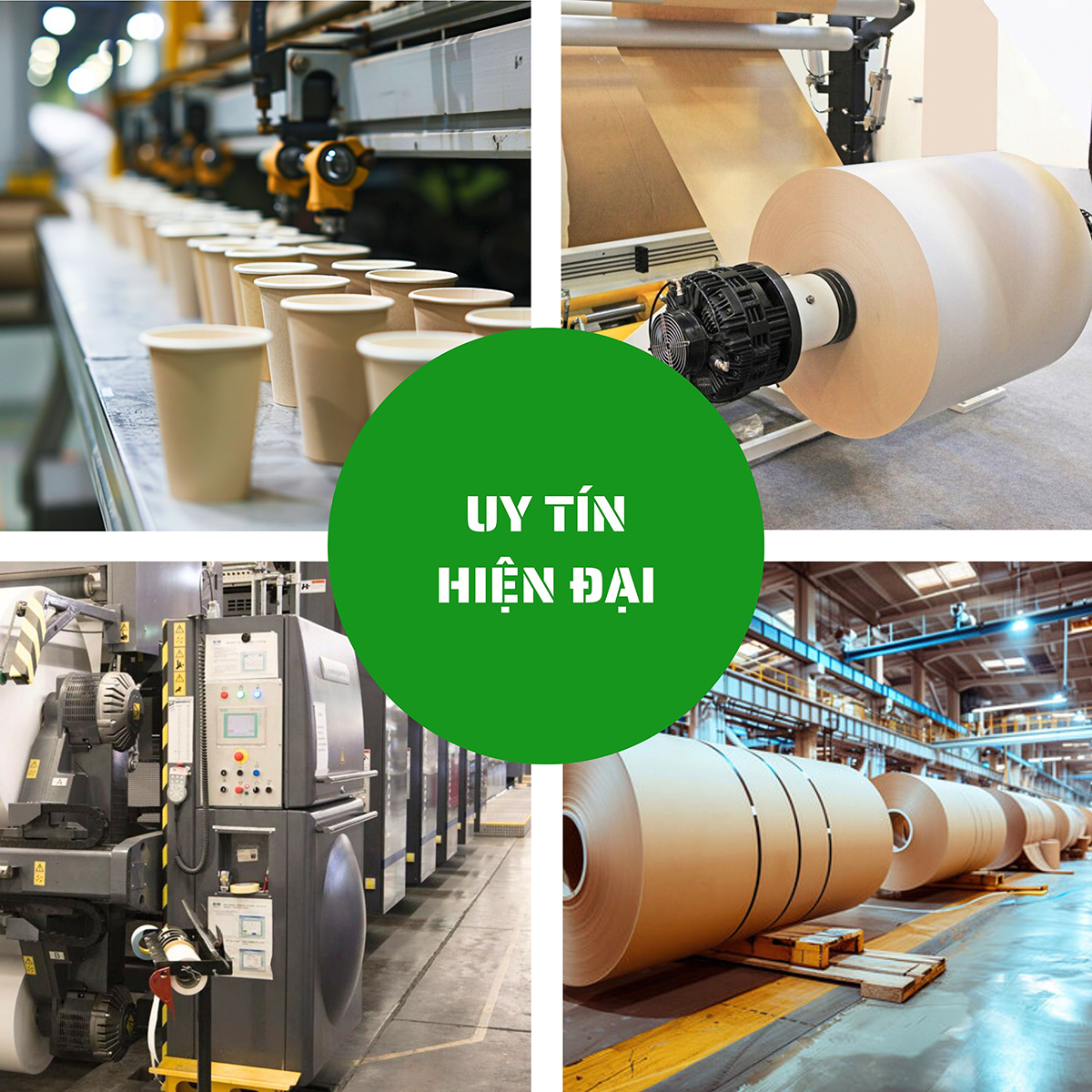 Sản xuất và phân phối bao bì giấy