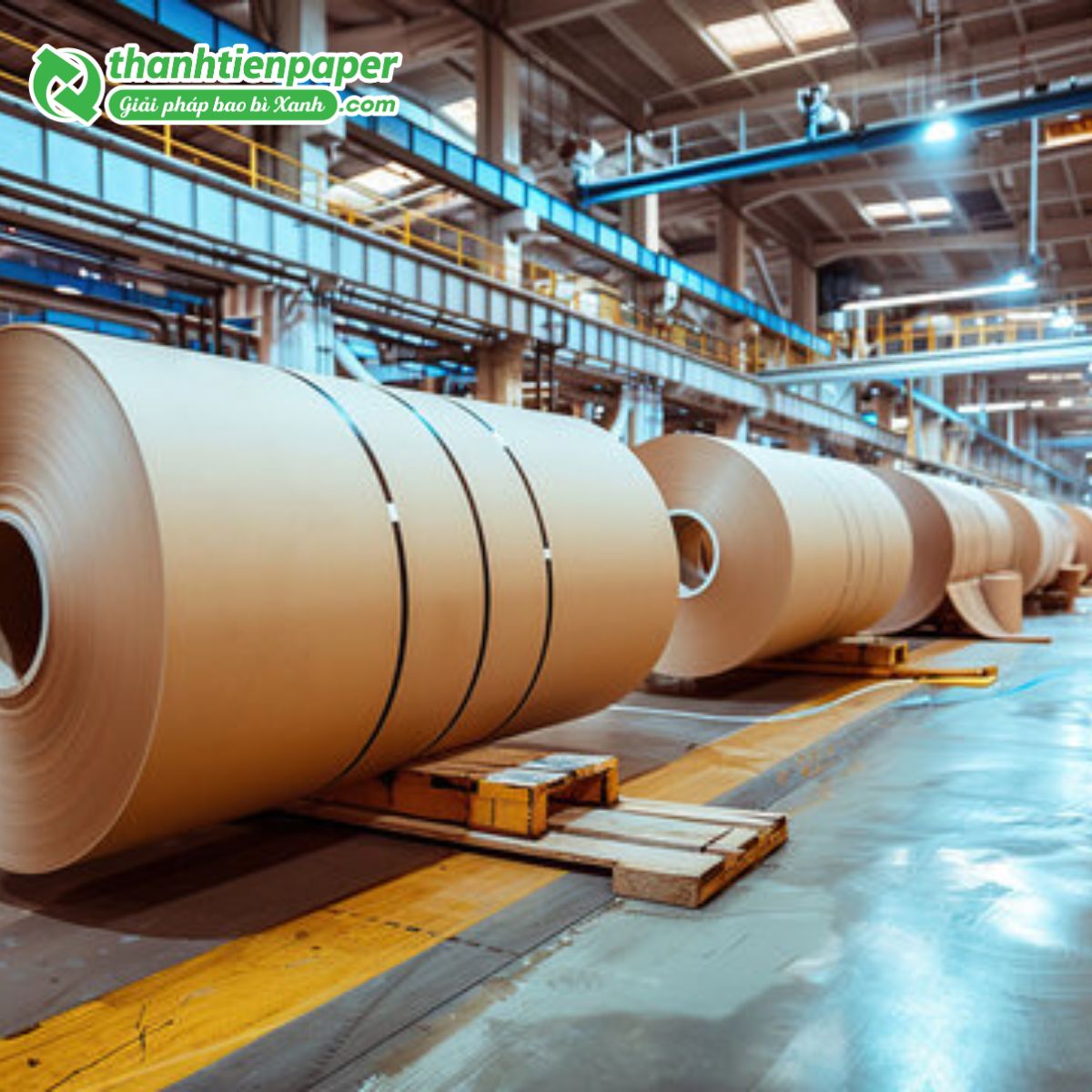 xuong-san-xuat-thanh-tien-paper-3