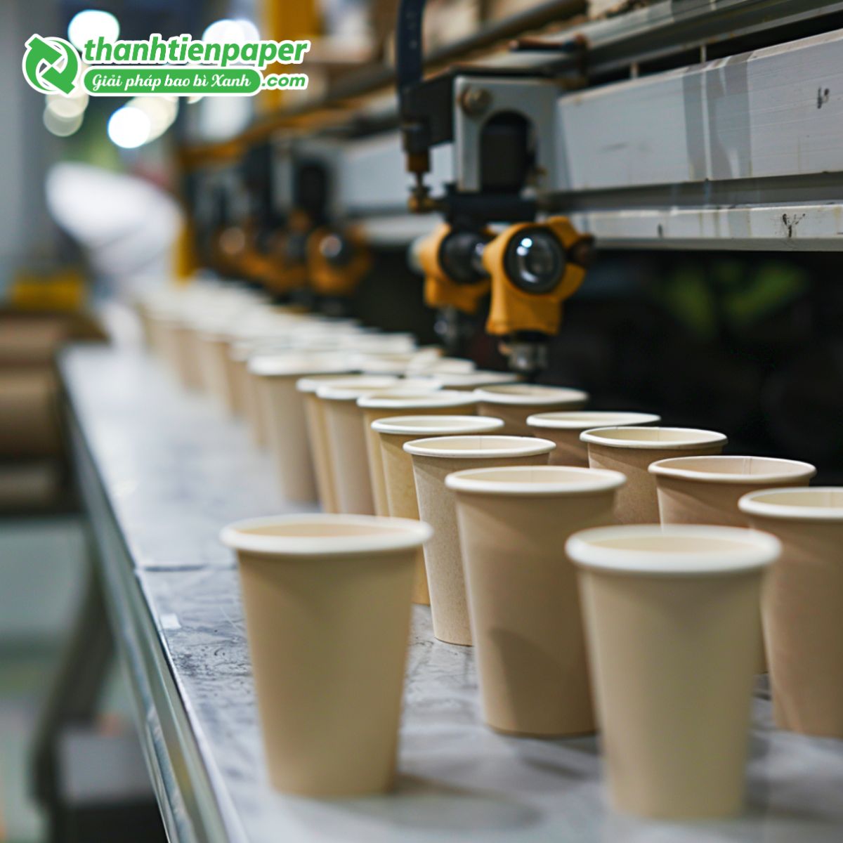 xuong-san-xuat-thanh-tien-paper-5